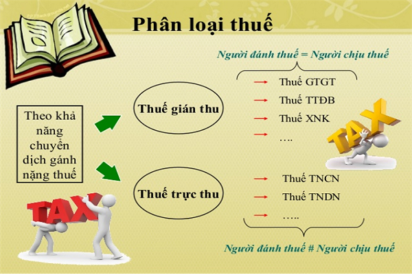 phan-loai-thue